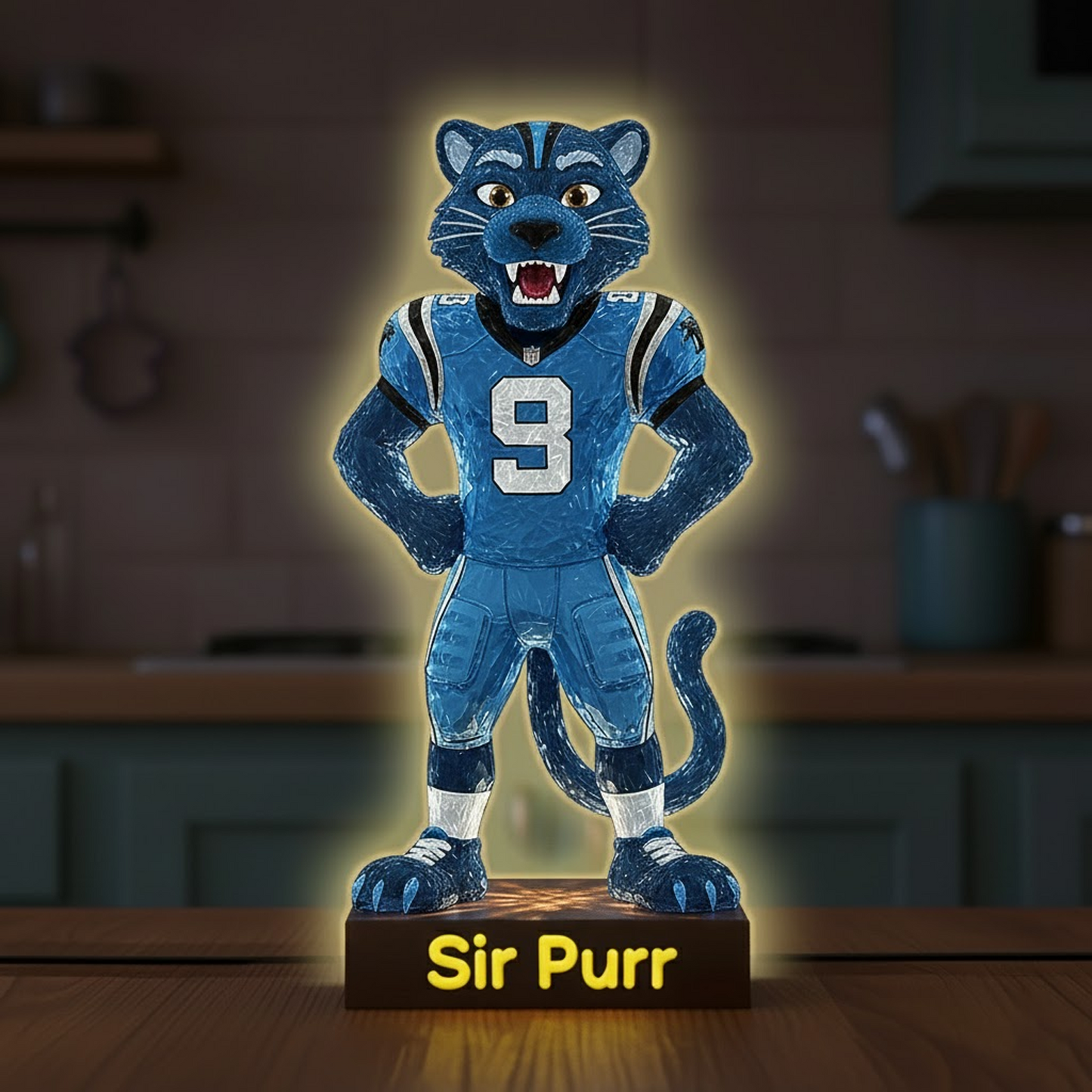 CAR X NFL Funny Characters Acrylic Light Box - Personalized Gifts NAK NHT